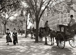 NYC, 1900