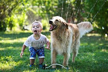 kids and pets