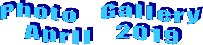 P h o t o      G a l l e r y 
A p r I l      2 0 1 9
